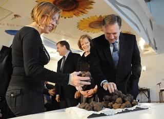 Imagen TRUFICULTURA EN GRAUS