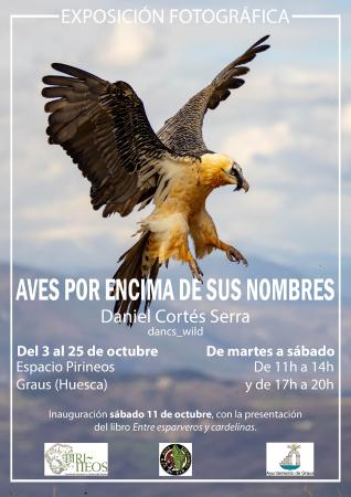 Imagen Exposición fotográfica Aves por encima de sus nombres