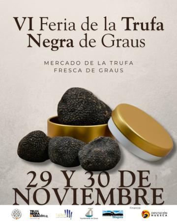 Imagen Feria de la Trufa Negra