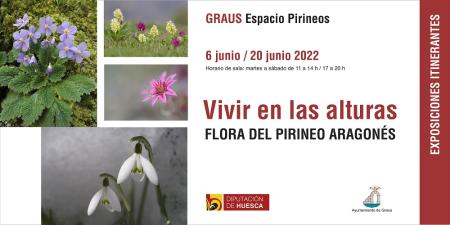Imagen Exposición Vivir en las alturas. Flora del Pirineo aragonés